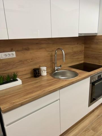 Centar Ns 5 Apartman Újvidék Kültér fotó