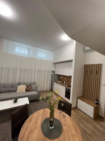 Centar Ns 5 Apartman Újvidék Kültér fotó