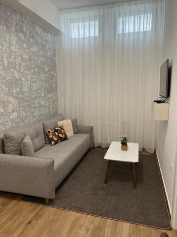 Centar Ns 5 Apartman Újvidék Kültér fotó