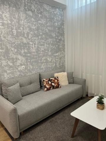 Centar Ns 5 Apartman Újvidék Kültér fotó